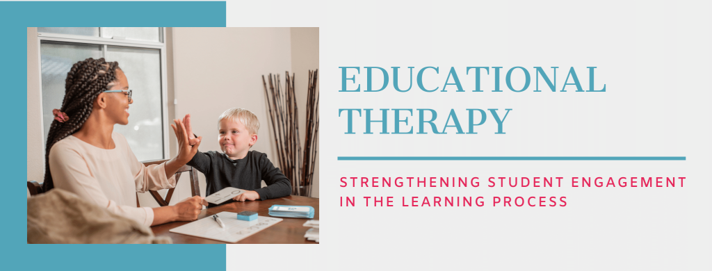 Educational Therapy 