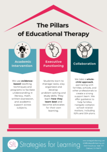 Educational Therapy Infographic